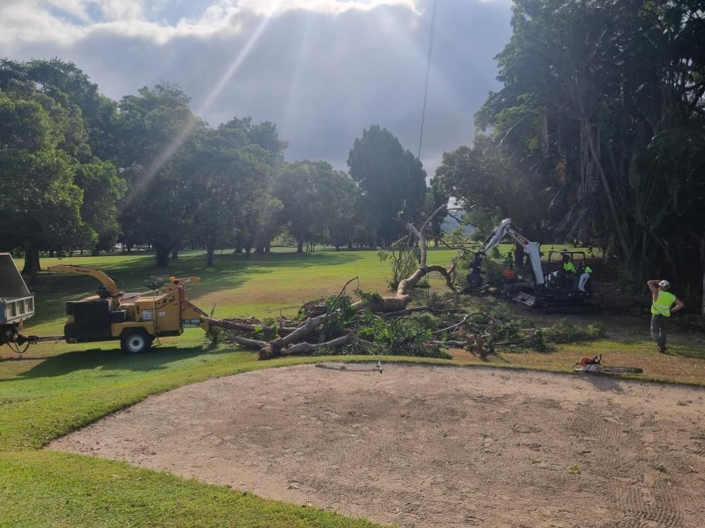 A Tree Chipper Is Being Used to Remove Trees from A Golf Course — Advanced Vegetation Management in Stratford, QLD