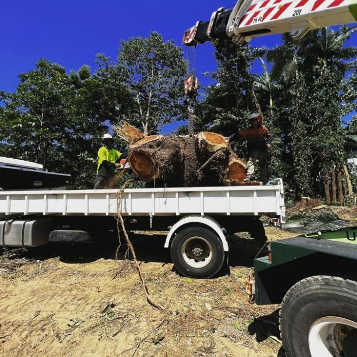A Large Tree Stump Is Being Lifted by A Crane on The Back of A Truck — Advanced Vegetation Management in Redlynch, QLD