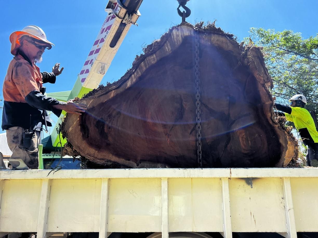 A Large Piece of Wood Is Being Lifted by A Crane on The Back of A Truck — Advanced Vegetation Management in Stratford, QLD