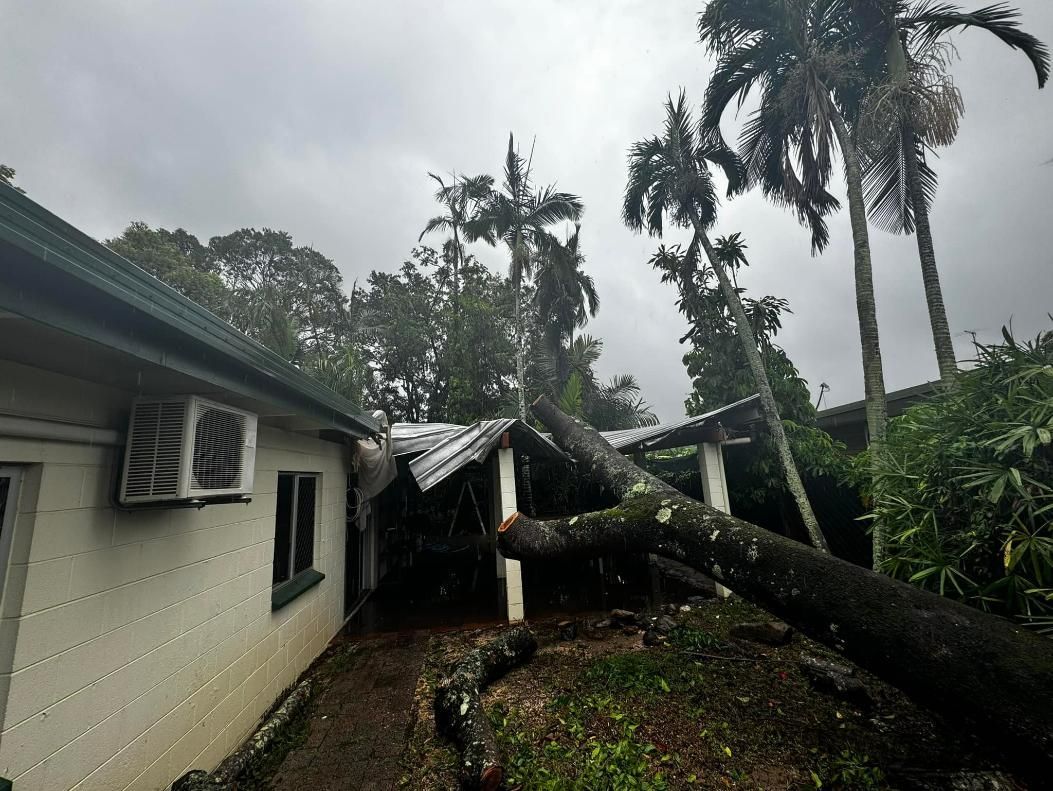 A Tree Has Fallen on The Roof of A House — Advanced Vegetation Management in Stratford, QLD