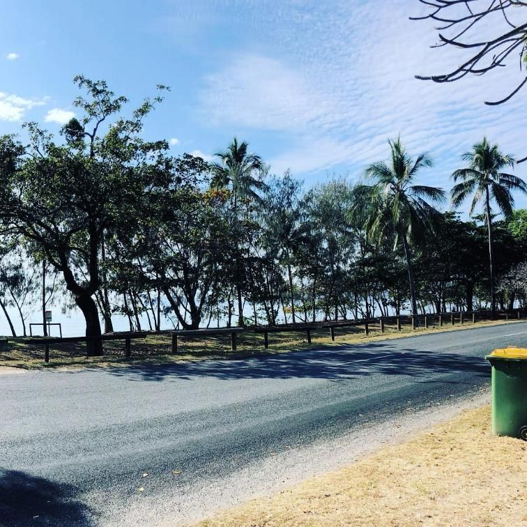 A Road with Palm Trees on The Side of It — Advanced Vegetation Management in Stratford, QLD