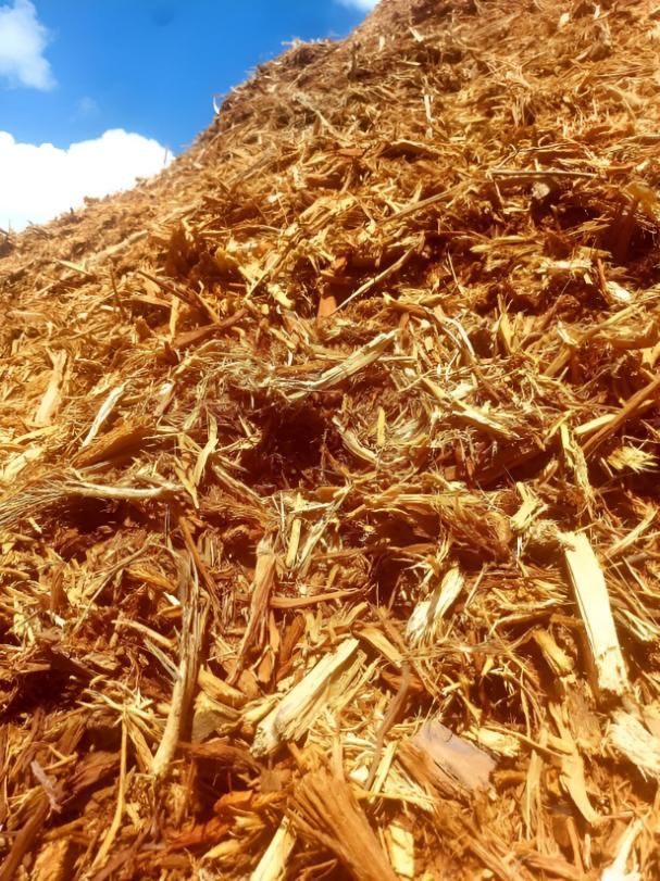 A Pile of Wood Chips with A Blue Sky in The Background — Advanced Vegetation Management in Stratford, QLD