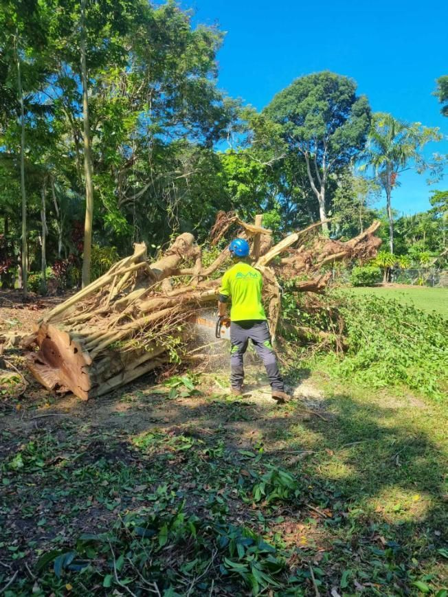 A Man Is Standing Next to A Pile of Logs in The Woods — Advanced Vegetation Management in Smithfield, QLD