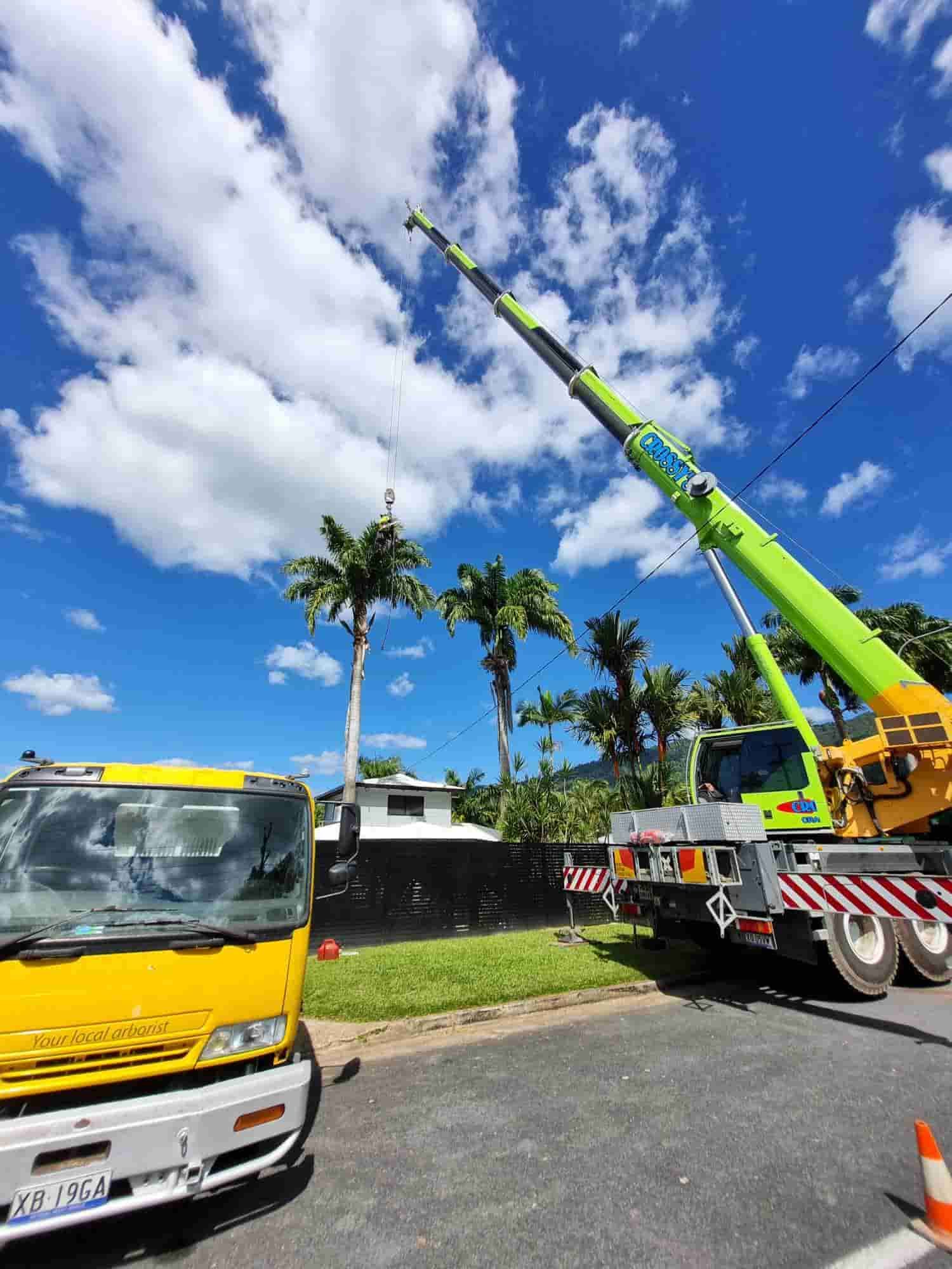 A Yellow Truck With a Green Crane Attached to It is Parked on the Side of the Road — Advanced Vegetation Management in Stratford, QLD
