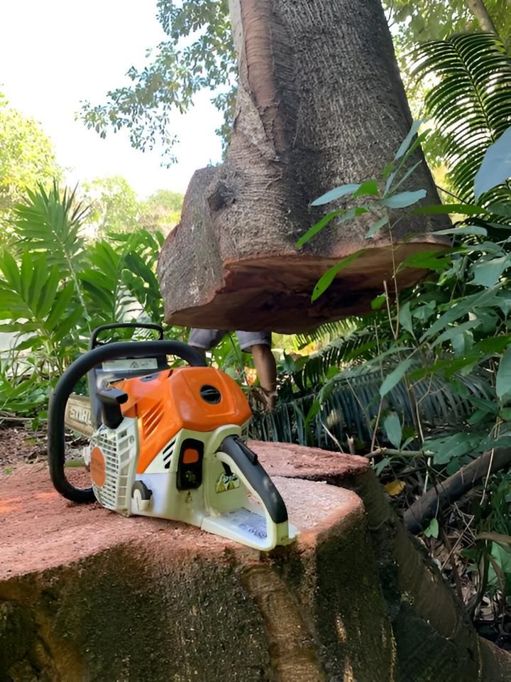 A Chainsaw Is Sitting on Top of A Tree Stump — Advanced Vegetation Management in Stratford, QLD