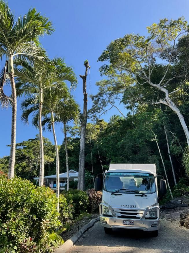 A White Truck Is Parked in A Driveway Surrounded by Palm Trees — Advanced Vegetation Management in Freshwater, QLD