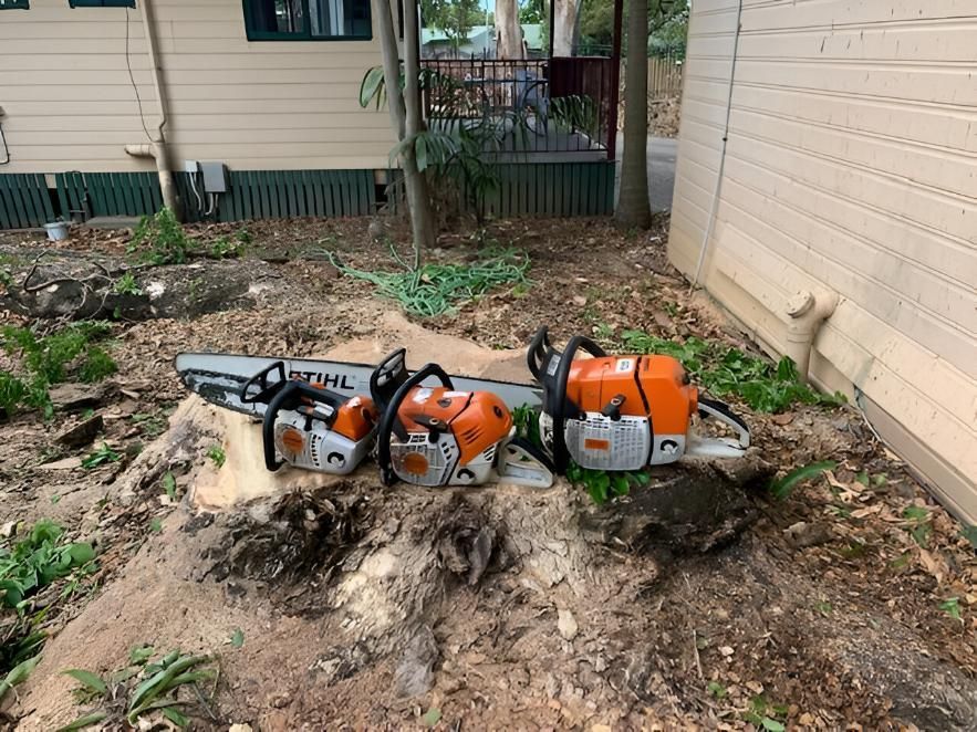 Two Chainsaws Are Sitting on Top of A Tree Stump in Front of A House — Advanced Vegetation Management in Stratford, QLD