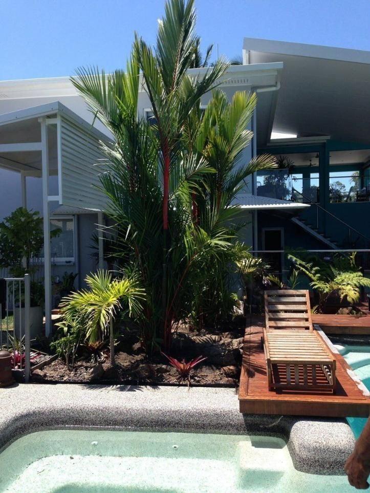 A Large House with A Swimming Pool in Front of It — Advanced Vegetation Management in Stratford, QLD