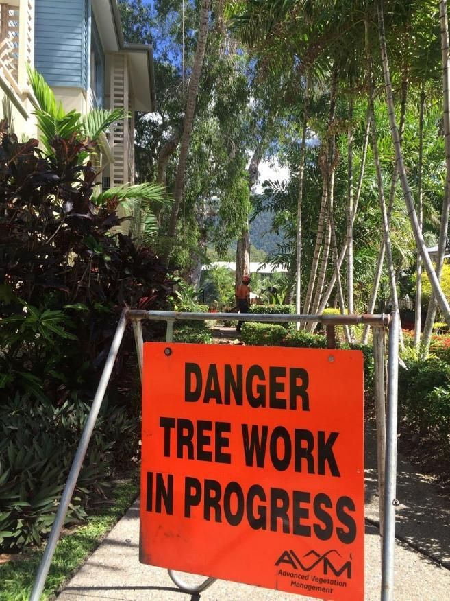 An Orange Sign that Says Danger Tree Work in Progress — Advanced Vegetation Management in Stratford, QLD