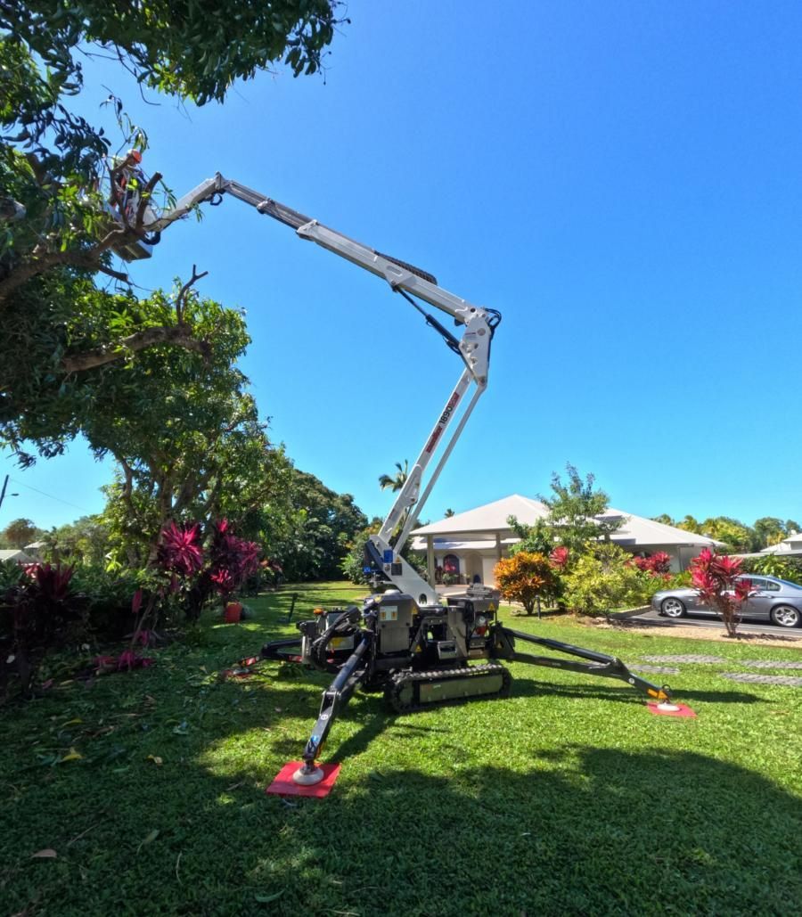 A Crane Is Sitting in The Grass in Front of A House — Advanced Vegetation Management in Edge Hill, QLD