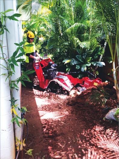 A Man Is Driving a Red Tractor Through a Lush Green Forest — Advanced Vegetation Management in Stratford, QLD