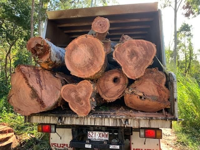 A Truck Filled with Logs Is Parked in The Woods — Advanced Vegetation Management in Stratford, QLD