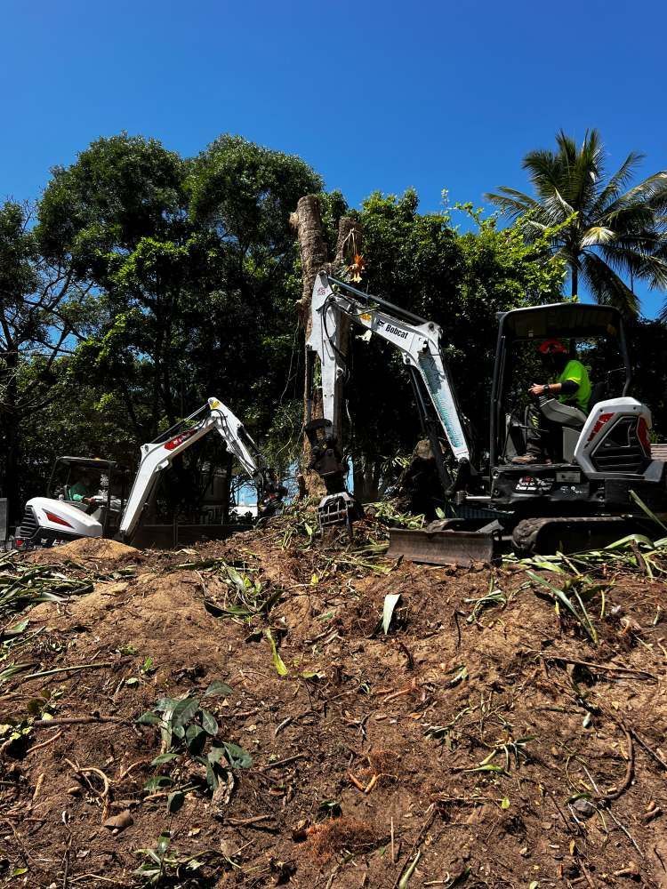 A Man is Driving an Excavator in a Dirt Field — Advanced Vegetation Management in Redlynch, QLD