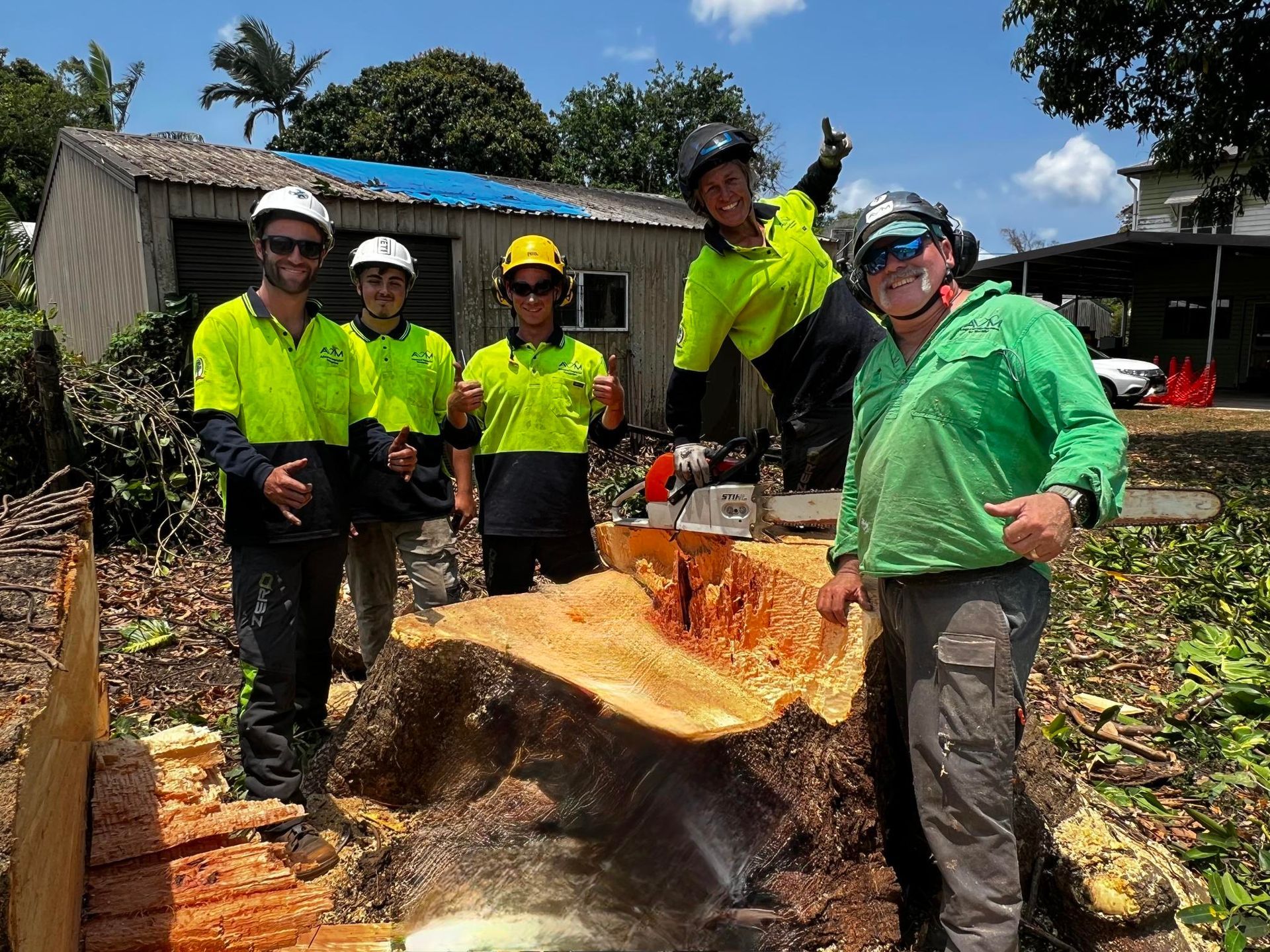 A Group of People Are Standing Around a Tree Stump — Advanced Vegetation Management in Stratford, QLD