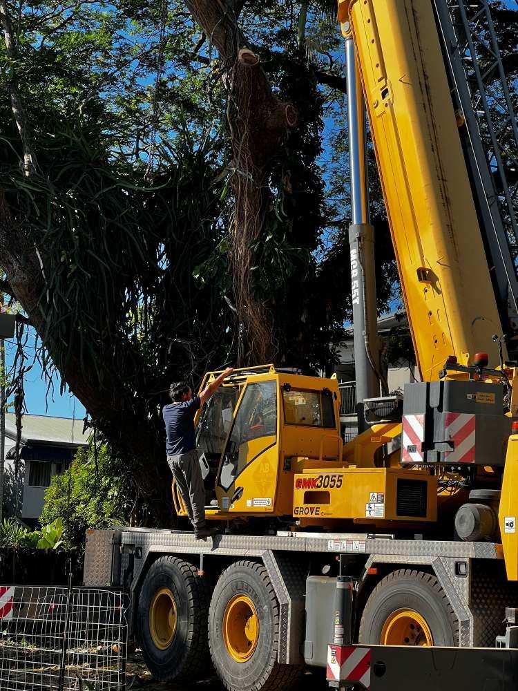 A Large Yellow Crane is Sitting on Top of a Truck — Advanced Vegetation Management in Machans Beach, QLD