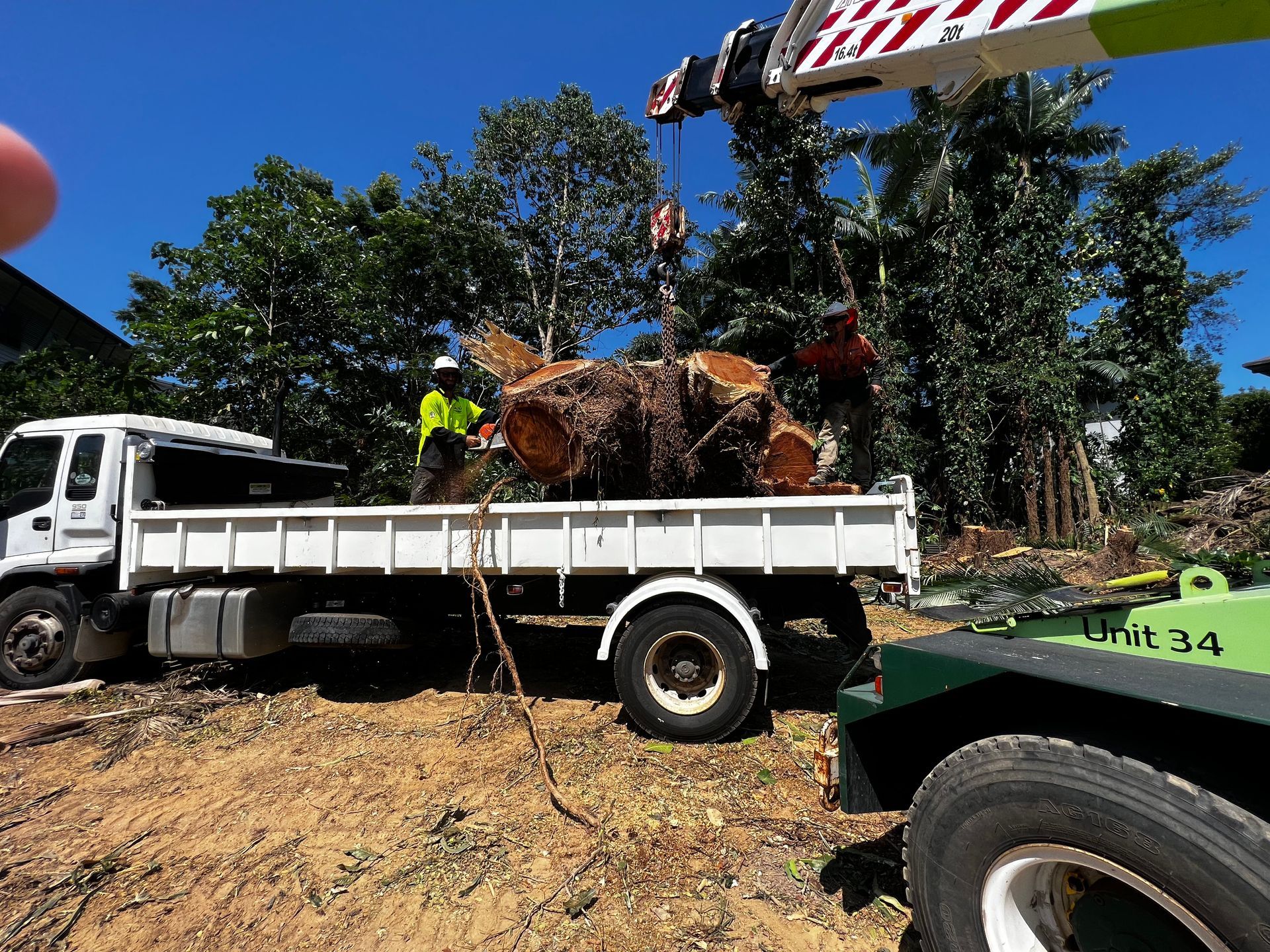 Two Men With a Tree Stump On A Truck in A Backyard — Advanced Vegetation Management in Stratford, QLD