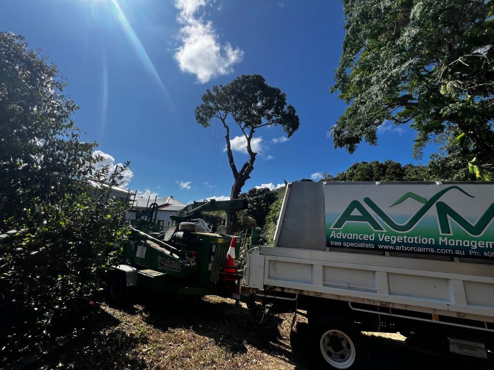 A Dump Truck With a Sign That Says Advanced Vegetation Management is Parked Next to a Tree — Advanced Vegetation Management in Stratford, QLD