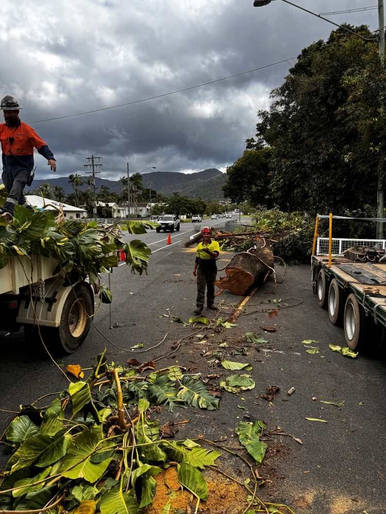 A Man is Standing Next to a Truck Loaded With Leaves and Branches — Advanced Vegetation Management in Stratford, QLD