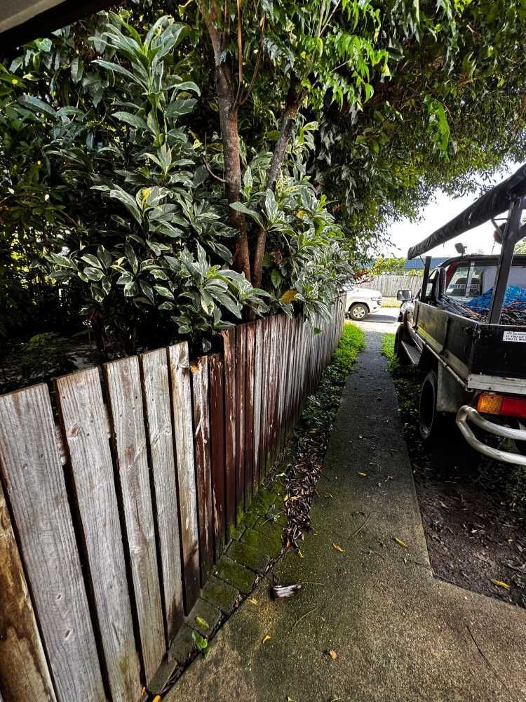 A Wooden Fence Along a Sidewalk With a Truck Parked Behind It — Advanced Vegetation Management in Stratford, QLD