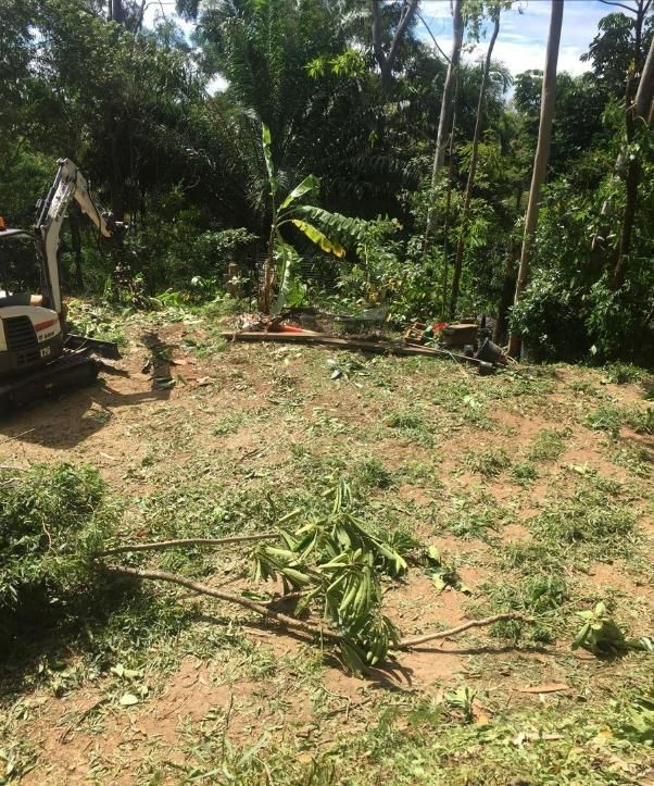 A Bulldozer Is Cutting Grass in A Field with Trees in The Background — Advanced Vegetation Management in Stratford, QLD