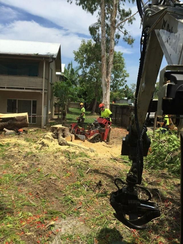 A Tractor Is Cutting Down a Tree in Front of A House — Advanced Vegetation Management in Stratford, QLD
