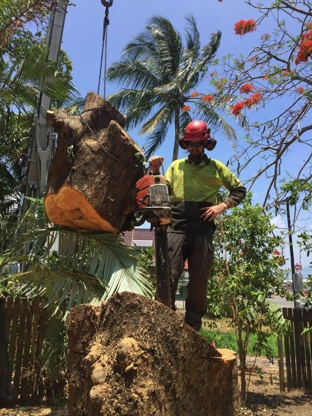 A Man Is Cutting a Tree Stump with A Chainsaw — Advanced Vegetation Management in Stratford, QLD