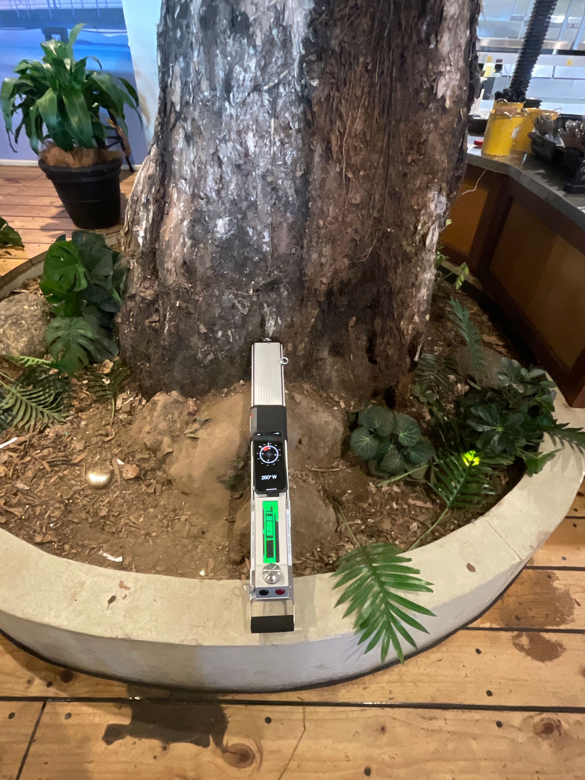 Tree Stump Having A Tree Decay Test — Advanced Vegetation Management in Stratford, QLD