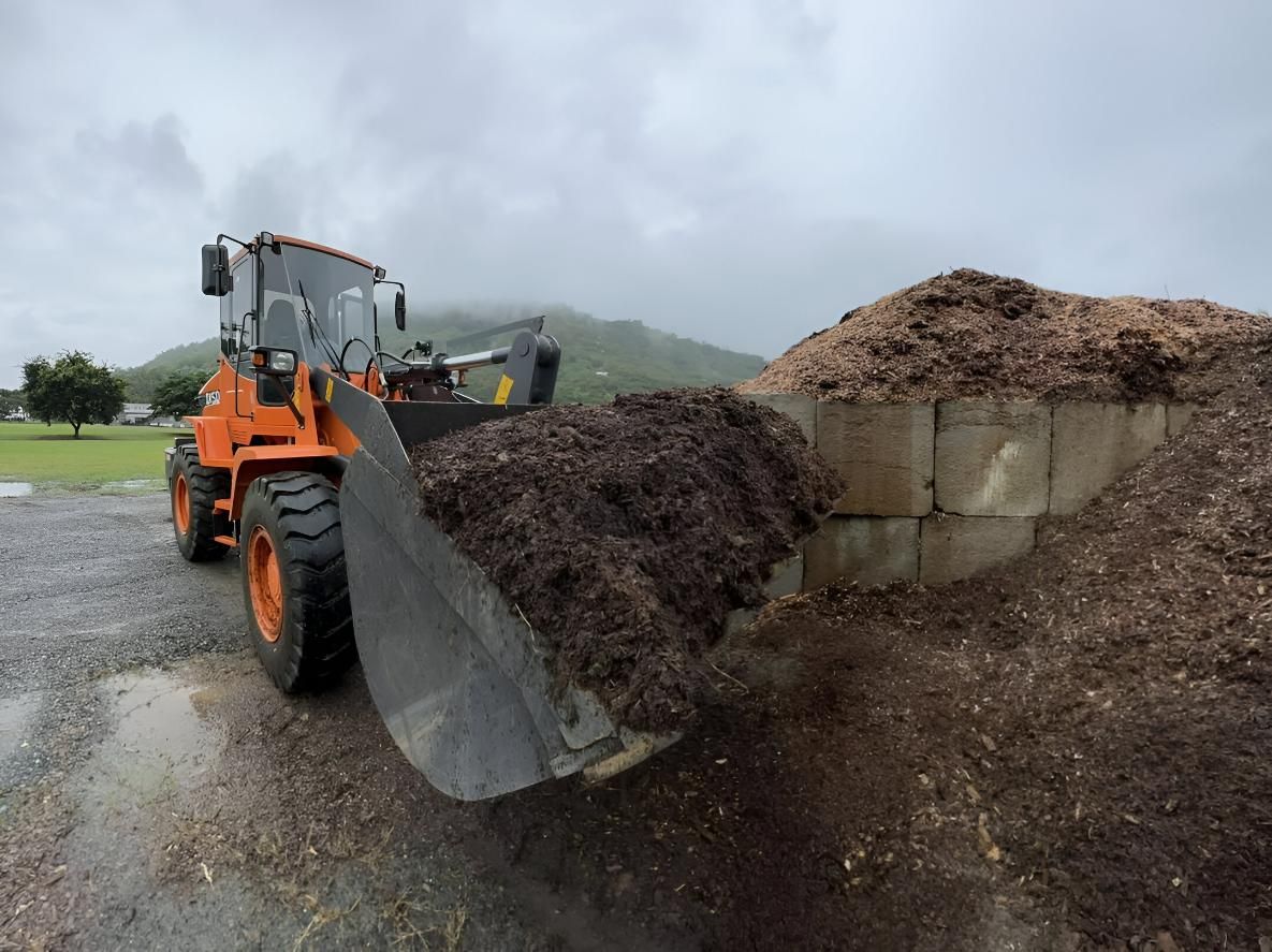 A Bulldozer Is Loading a Pile of Mulch Into a Container — Advanced Vegetation Management in Stratford, QLD