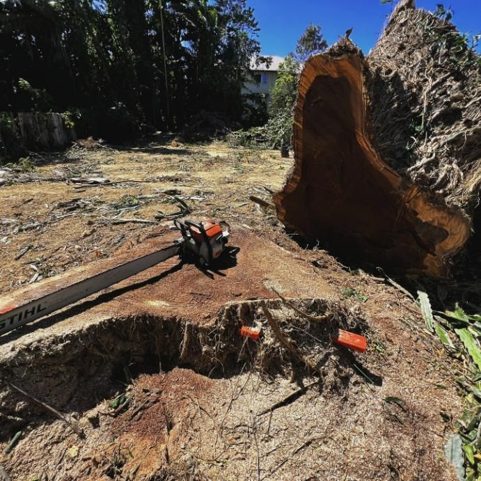 A Stihl Chainsaw Is Sitting on Top of A Tree Stump — Advanced Vegetation Management in Stratford, QLD