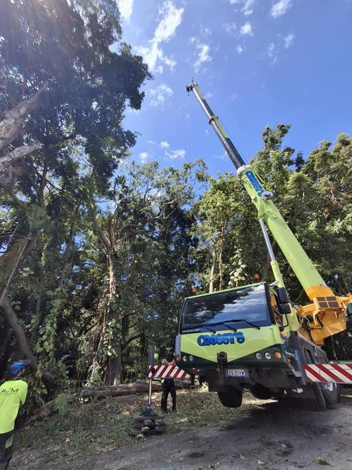 A Crane Is Sitting on Top of A Truck Next to A Tree — Advanced Vegetation Management in Stratford, QLD