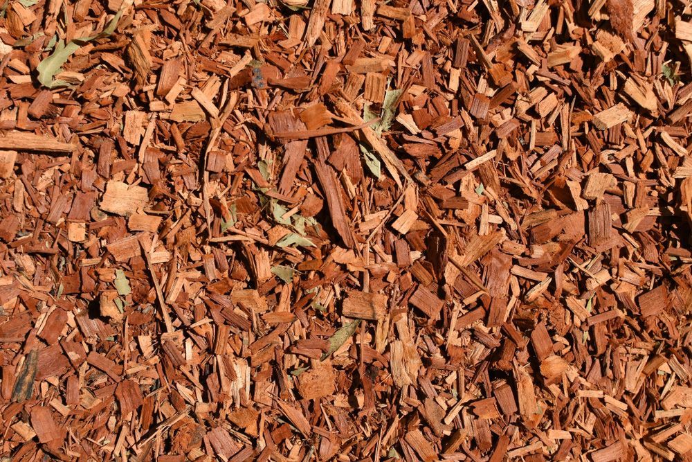 Close-up of red bark mulch ground cover showing wood chips texture in a garden bed.