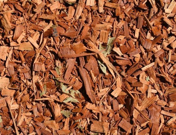 A Pile of Brown Wood Chips With Green Leaves — Dubbo Soils & Landscaping Supplies in Narromine, NSW