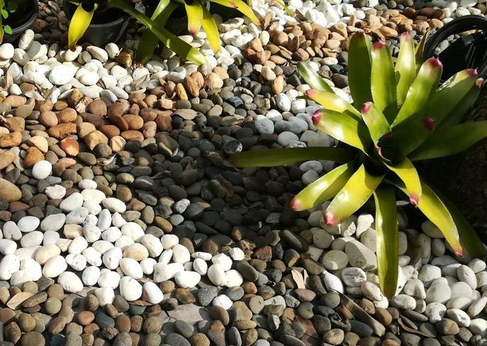 A Pile of Rocks and Plants in a Garden — Dubbo Soils & Landscaping Supplies in Narromine, NSW