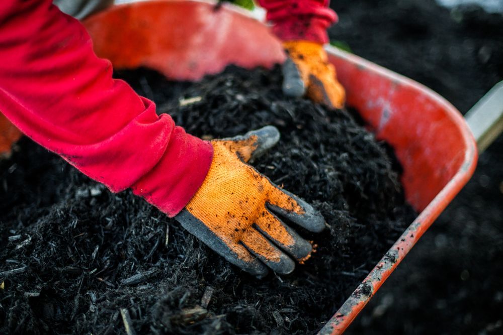 A Person Wearing Gloves is Holding a Wheelbarrow Full of Dirt — Dubbo Soils & Landscaping Supplies in Wellington, NSW