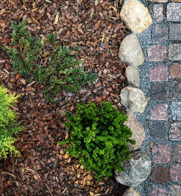 There Are a Lot of Rocks and Plants in the Garden — Dubbo Soils & Landscaping Supplies in Trangie, NSW