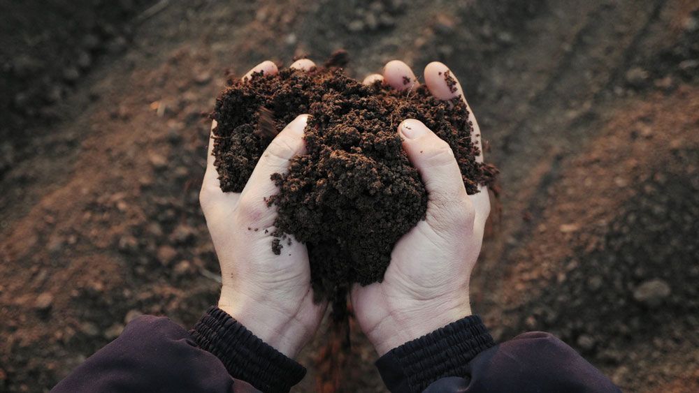 Close-up Shot of Farmer Holding Soil in Hands — Dubbo Soils & Landscaping Supplies in Dubbo, NSW