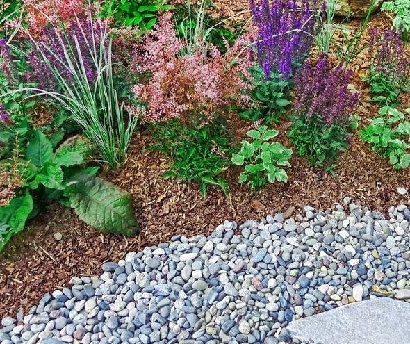 A Garden Filled With Lots of Plants and Rocks — Dubbo Soils & Landscaping Supplies in Trangie, NSW