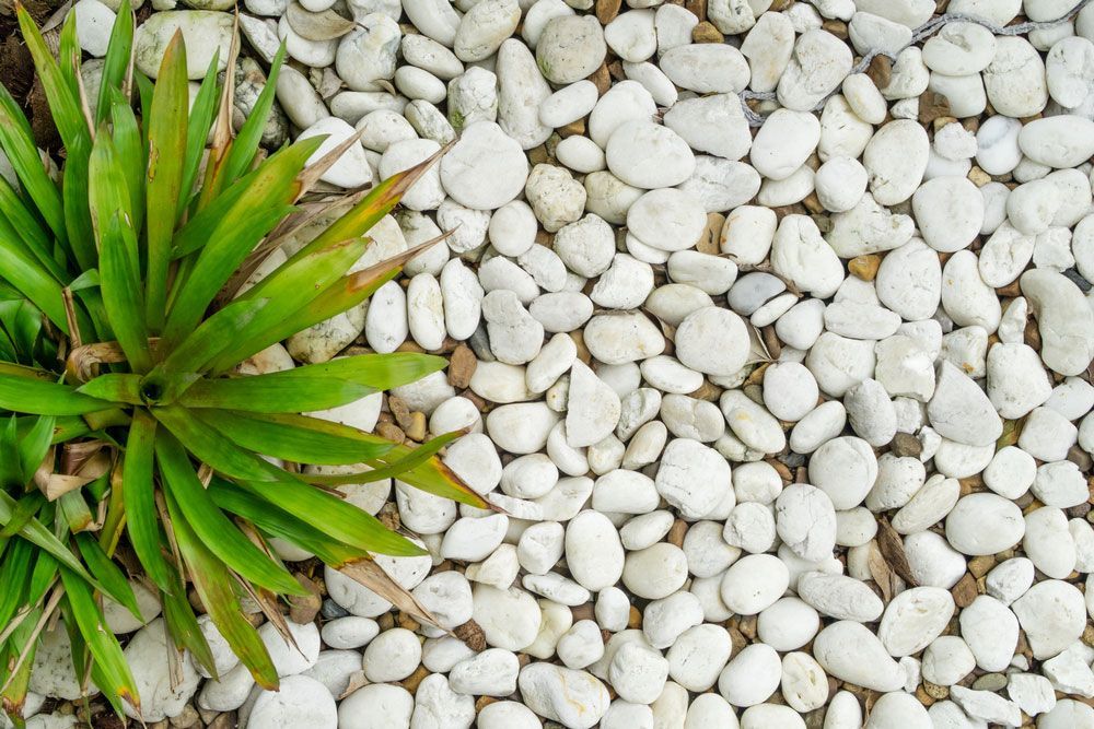 White Pebble Stone Garden — Dubbo Soils & Landscaping Supplies in Dubbo, NSW