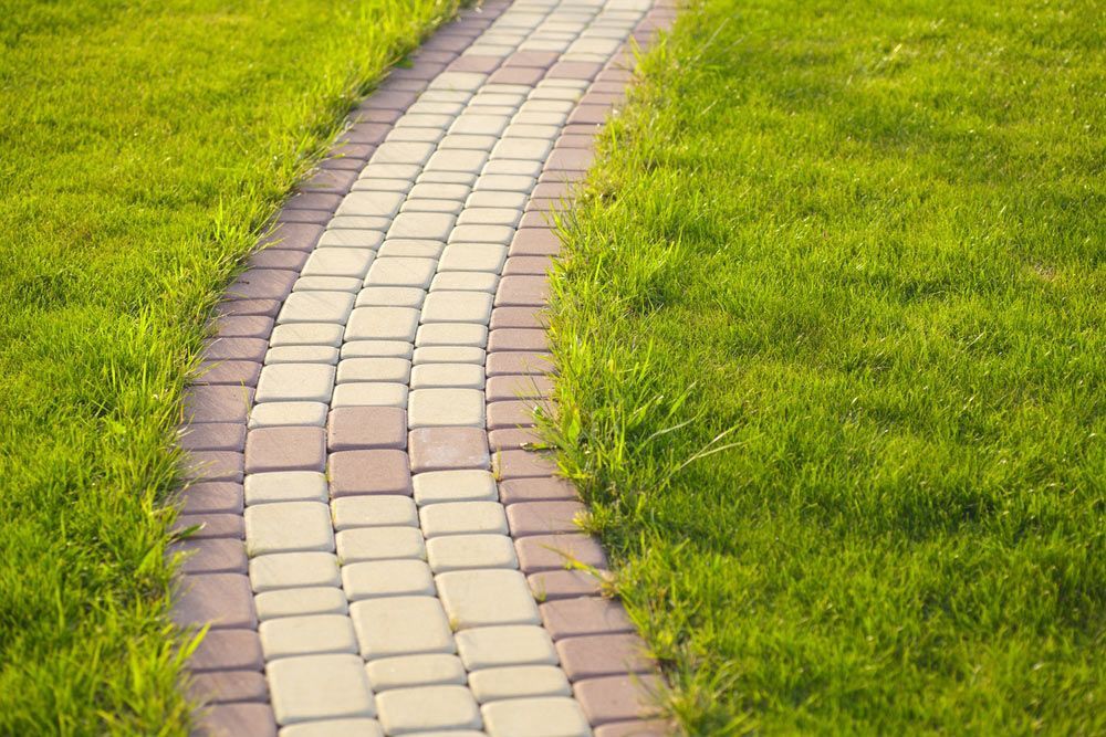 Beautiful Stone Pathway With Grass — Dubbo Soils & Landscaping Supplies in Dubbo, NSW