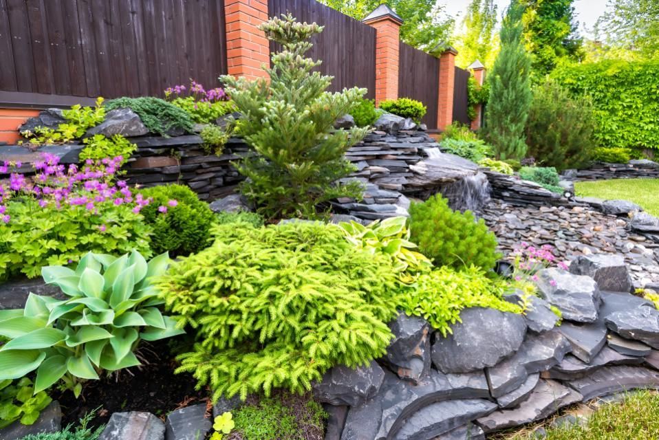 Rock Garden