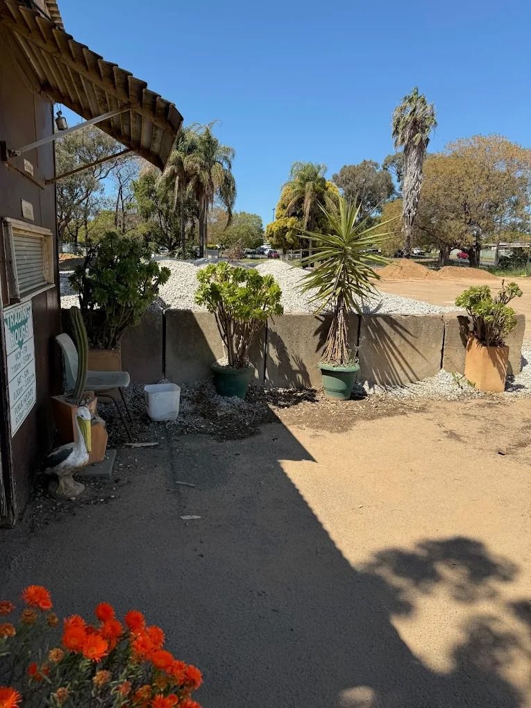 Mulching Potted Plants With Pine Bark — Dubbo Soils & Landscaping Supplies in Dubbo, NSW