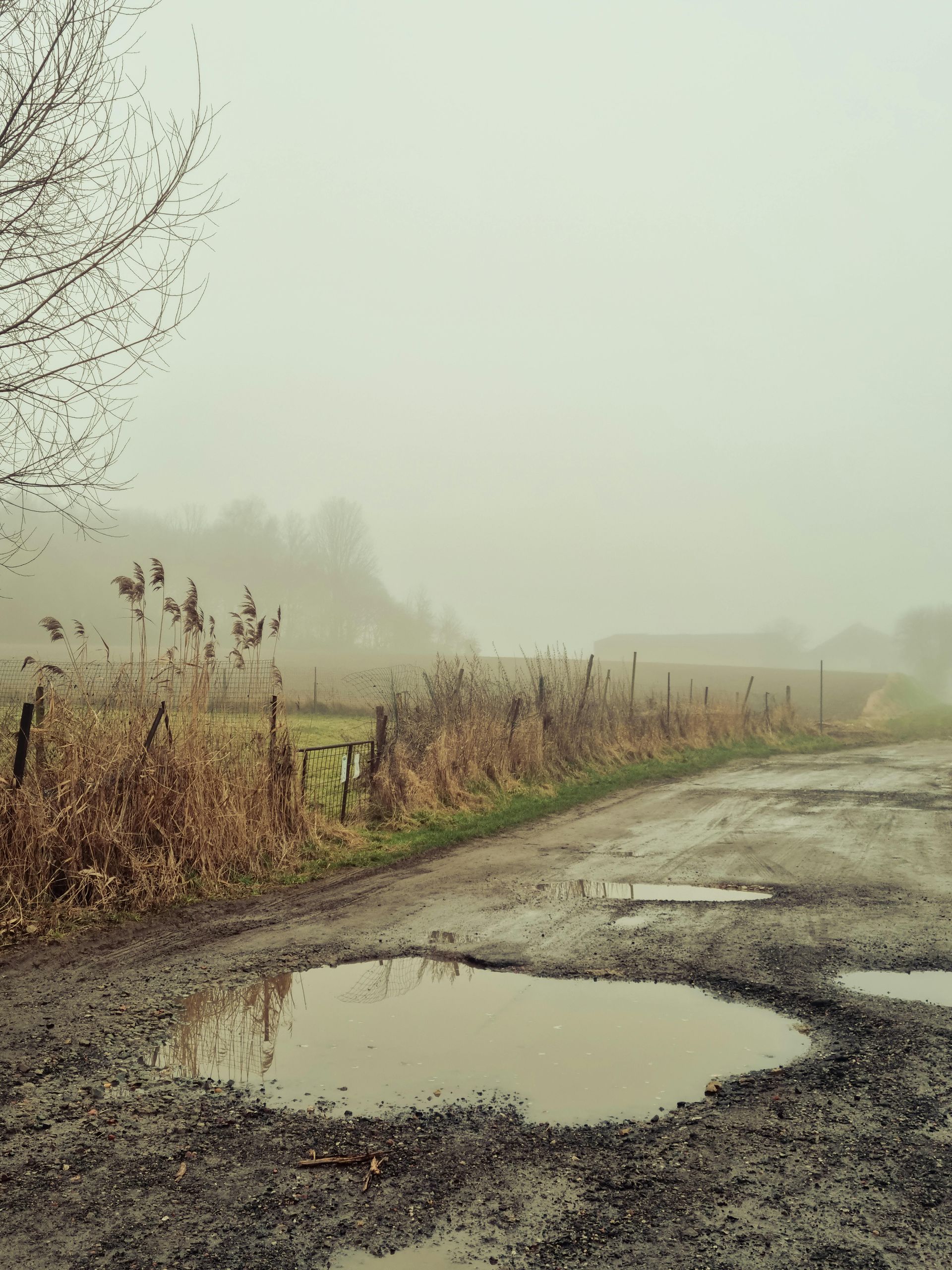 A muddy road with puddles in the middle of it on a foggy day.