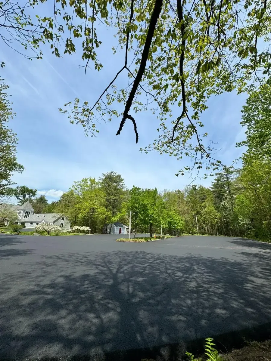 Newly paved black parking lot under a blue sky, trees in the background, branches in the foreground.