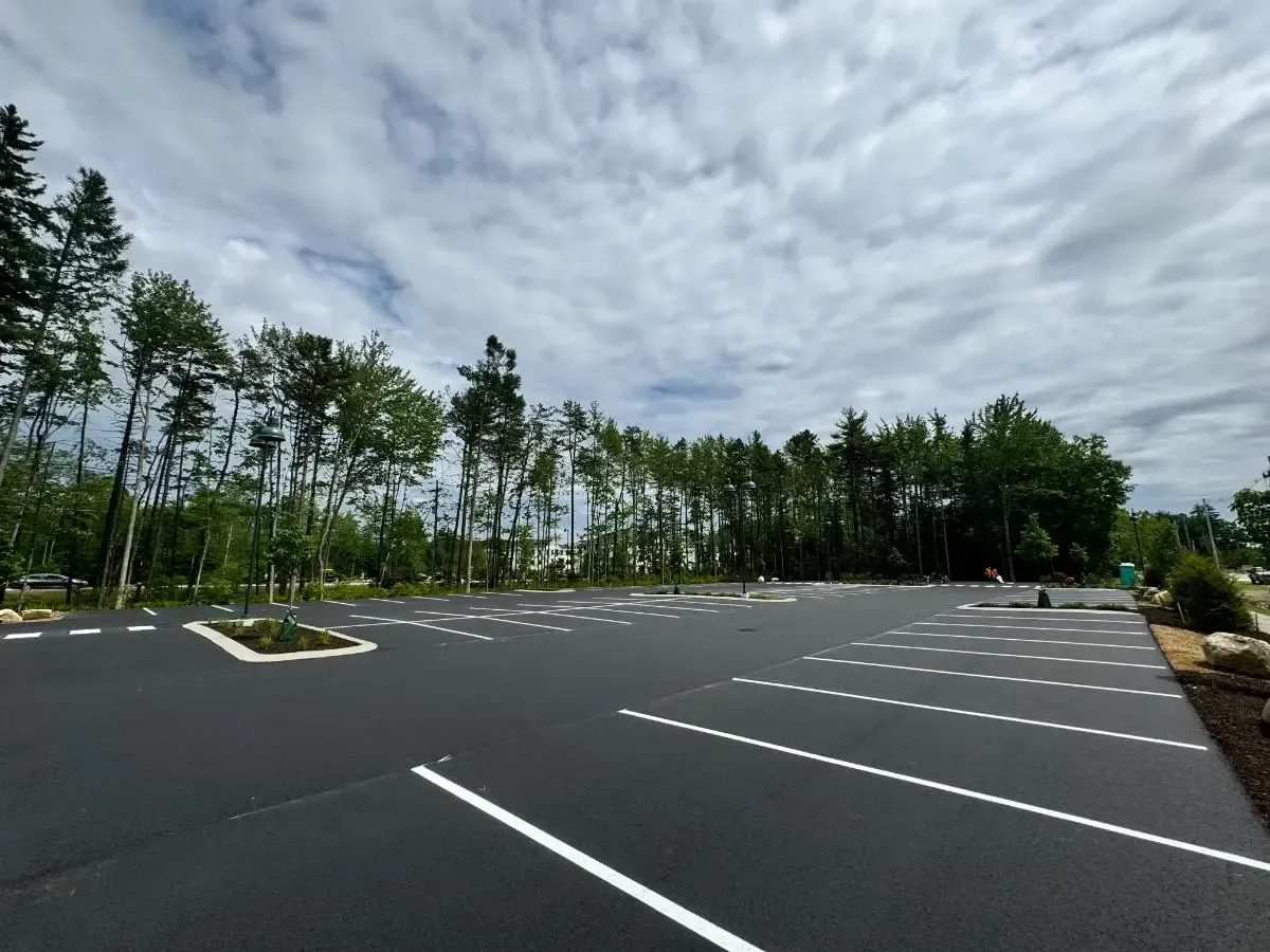 Empty asphalt parking lot with white painted lines under a cloudy sky, trees in the background.