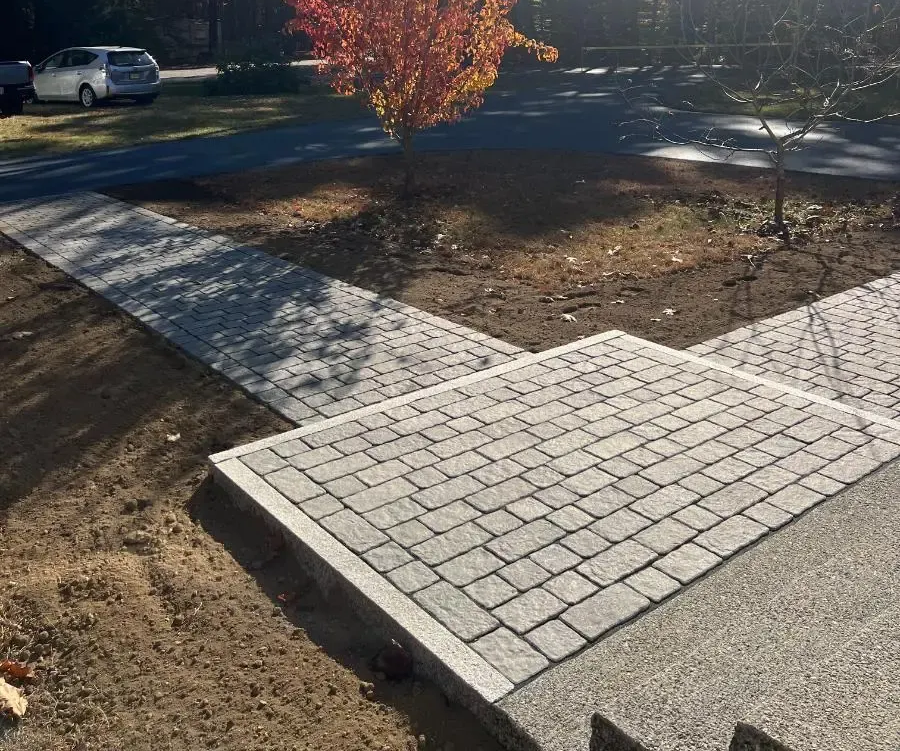 Red autumn tree in a yard with a brick pathway. Sunlight shines.