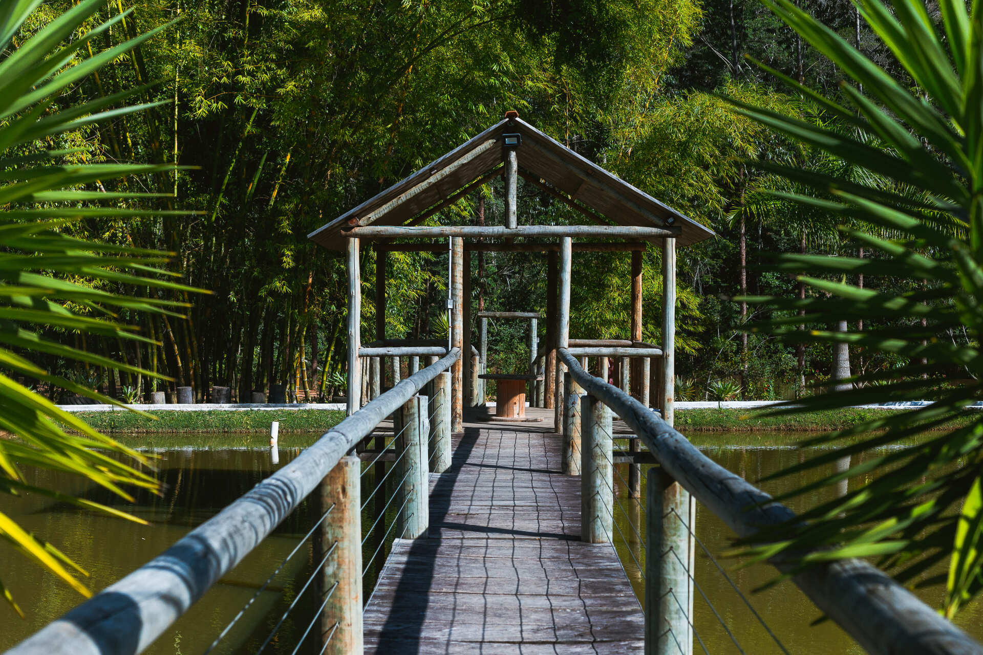 Uma ponte de madeira que leva a um mirante sobre um lago cercado por árvores.
