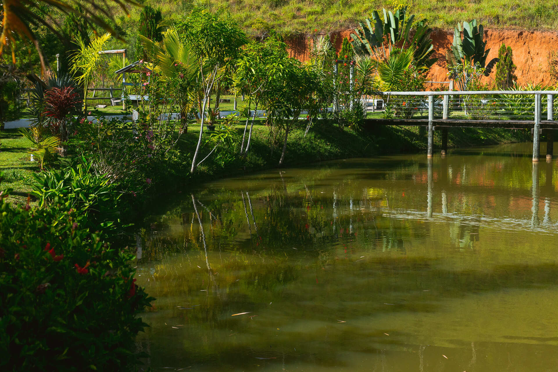 Uma ponte sobre um corpo de água cercado por árvores