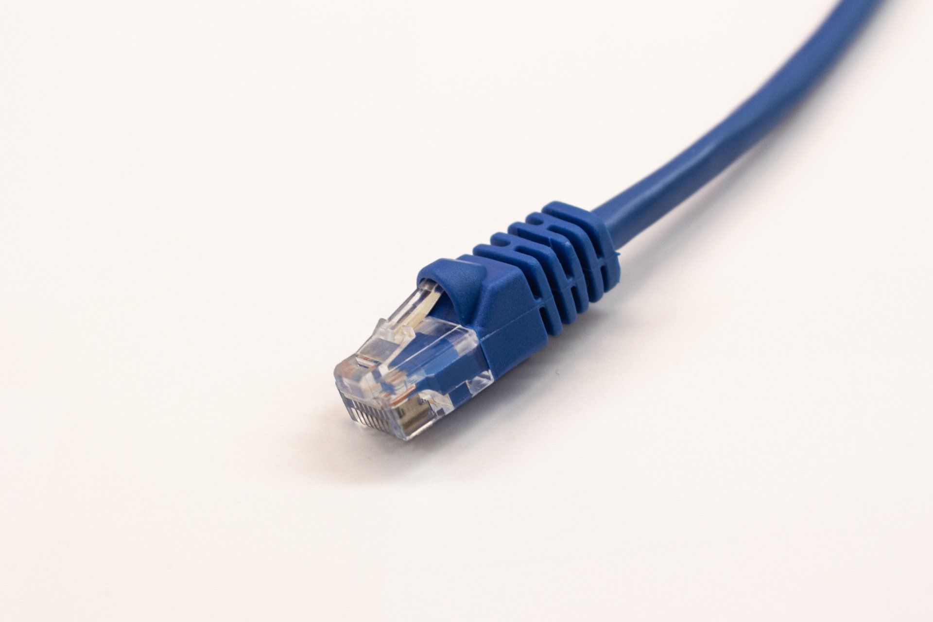 A close up of a blue ethernet cable on a white background.