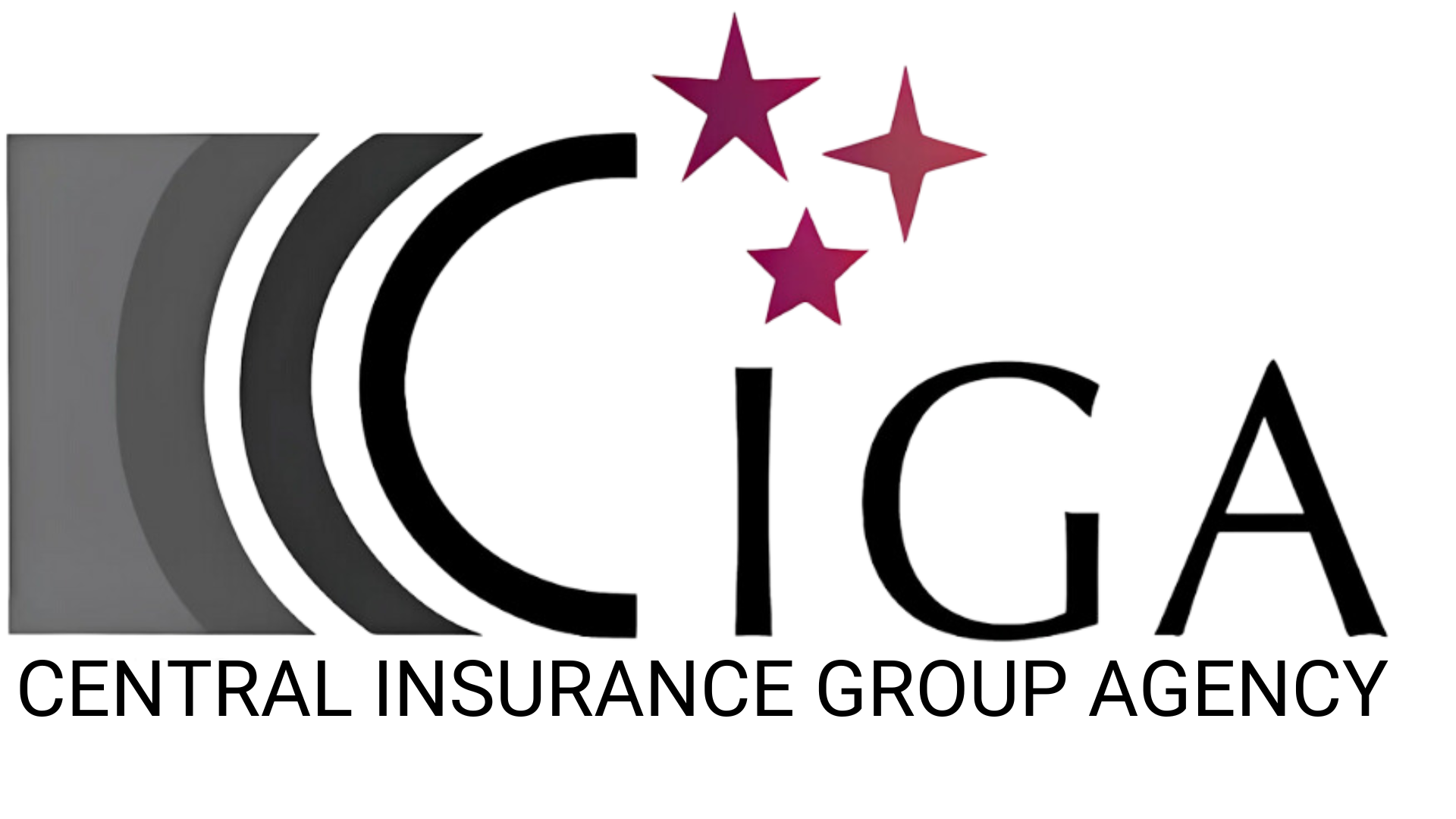 Central Insurance Group Agency, LLC logo