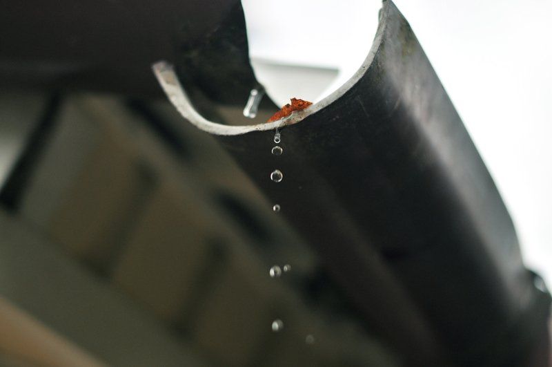 Gocce di pioggia che gocciolano da una grondaia scura; sfondo sfocato.